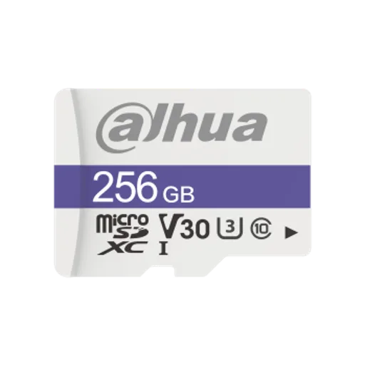 DHI-TF-C100/256GB
